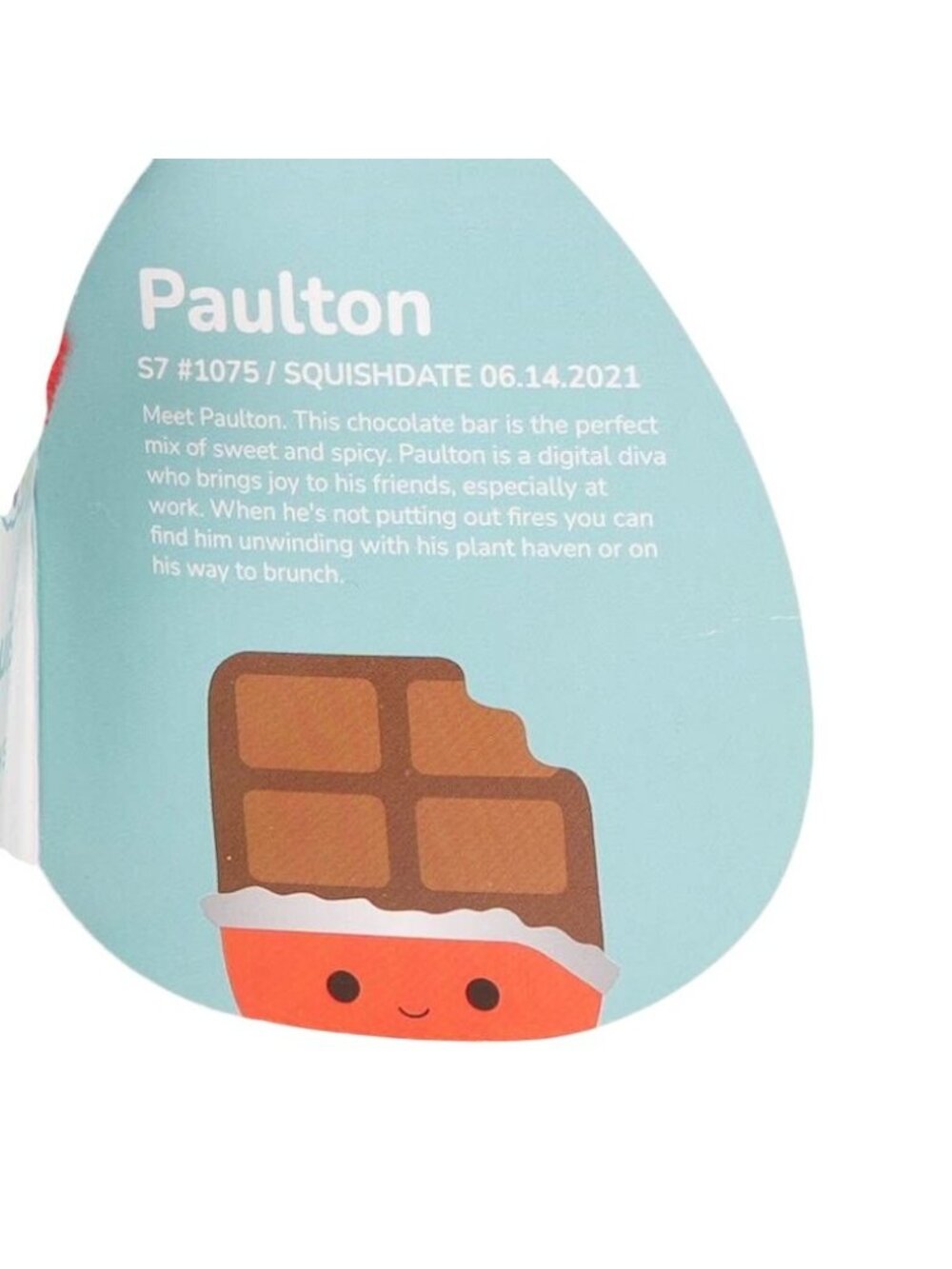 Squishmallows Paulton Chocolate Bar Plush 7" TAG Sweet Spicy Collectible Stuffed - Picture 2 of 4
